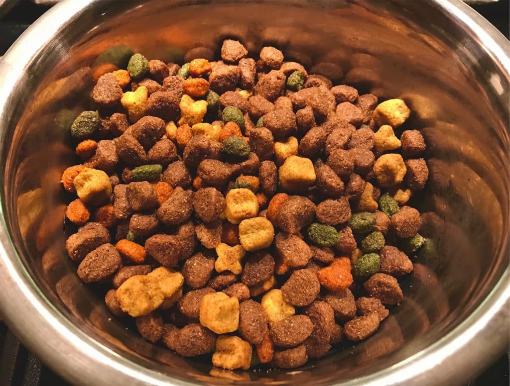 Croquettes pour chien avec problème rénal